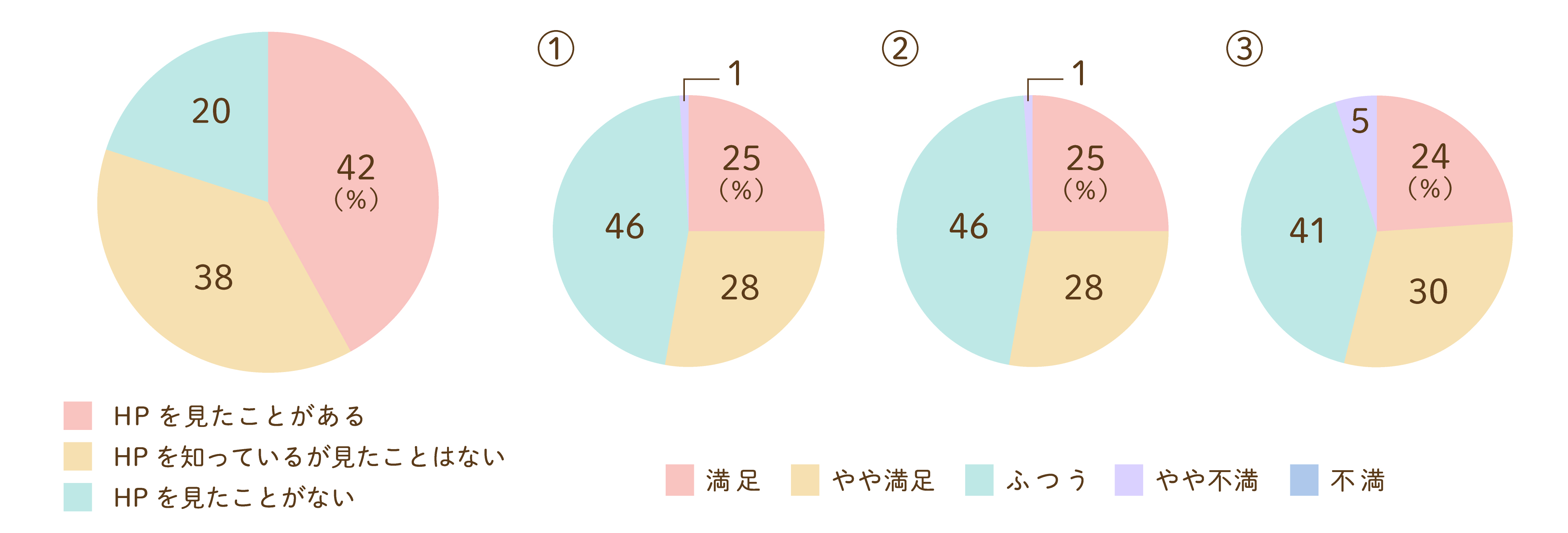当院ホームページについてのグラフ